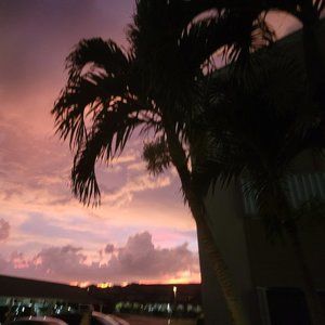 Meet your Posher, Cynthia a/k/a "Palms"